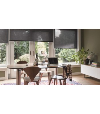 Žalūzijas "SCREEN"