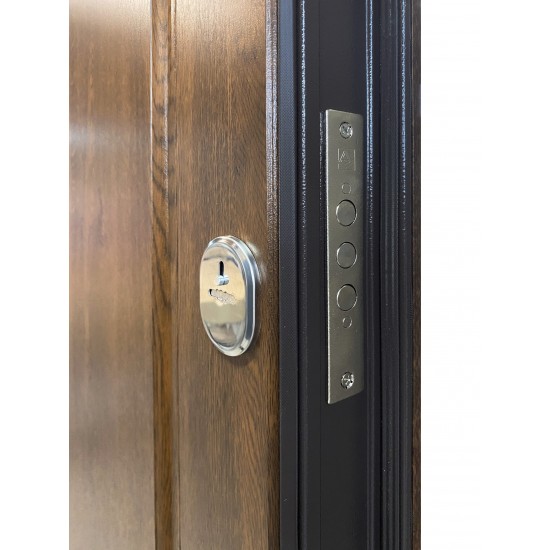 Metāla ārdurvis privātmājām Supremme OMEGA