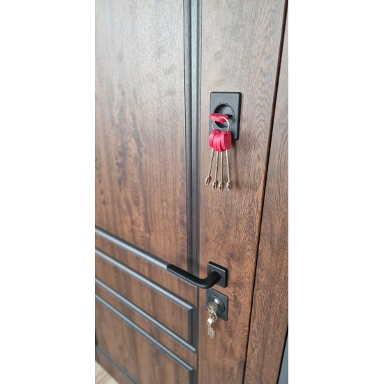 Metāla ārdurvis privātmājām Supremme LATGALE