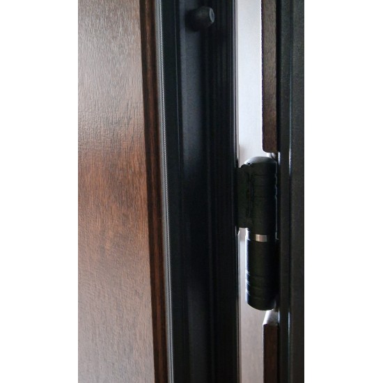 Metāla ārdurvis privātmājām Supremme SKANDINAVIJA