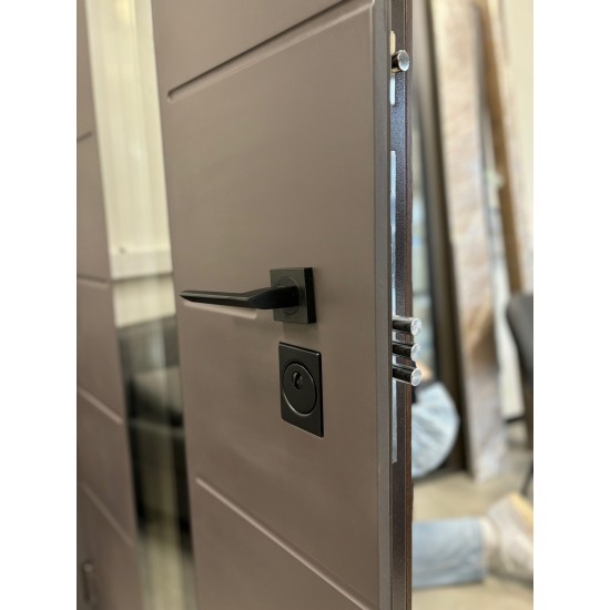 Metāla ārdurvis privātmājām Supremme Alise