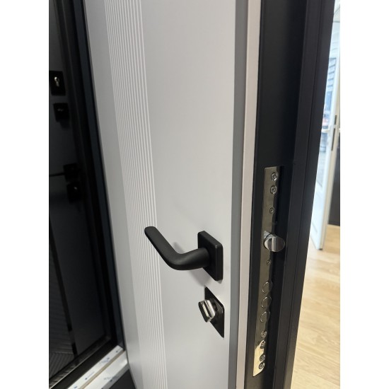 Metāla ārdurvis privātmājām Supremme Delta Pelēks