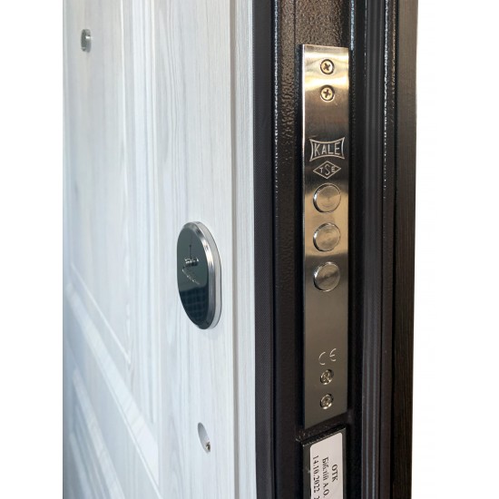 Metāla ārdurvis privātmājām Supremme Zane